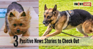 3 Positive News Stories to Check Out