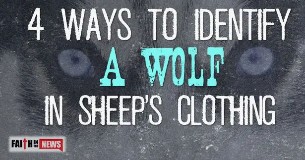 4 Ways To Identify A Wolf In Sheeps Clothing Faith In The