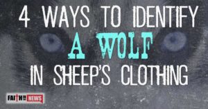 4 Ways To Identify A Wolf In Sheep’s Clothing