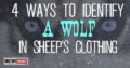 4 Ways To Identify A Wolf In Sheep’s Clothing